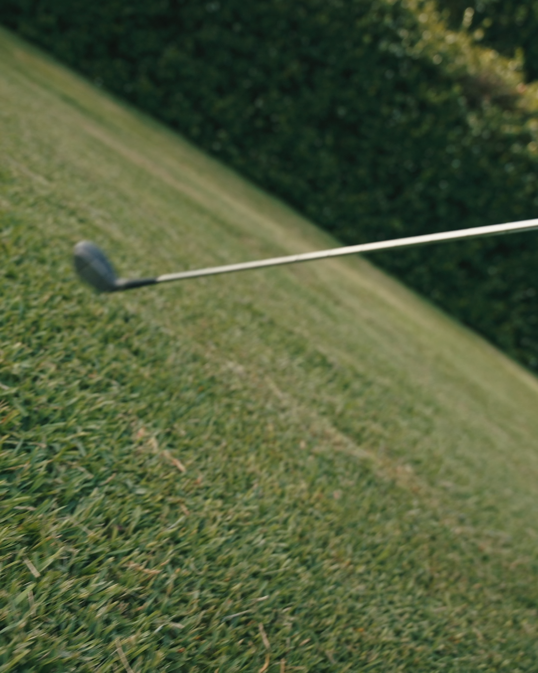 Two women walking on grass